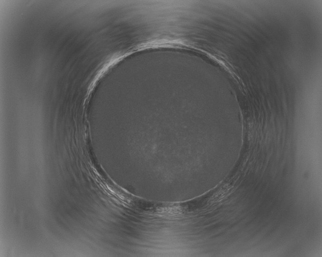 X0000051261363200507082206