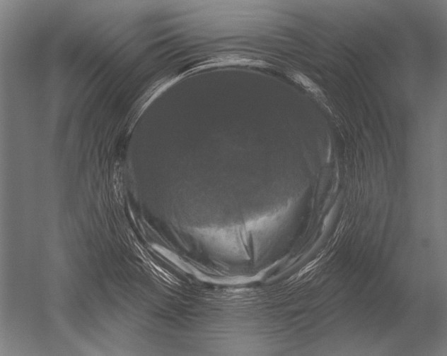 X0000051261369200507082206