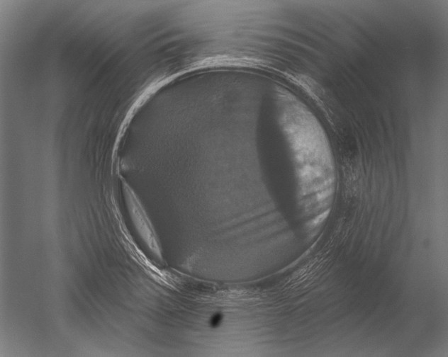 X0000051261371200507082206