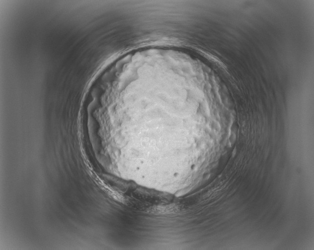 X0000051261375200507082206