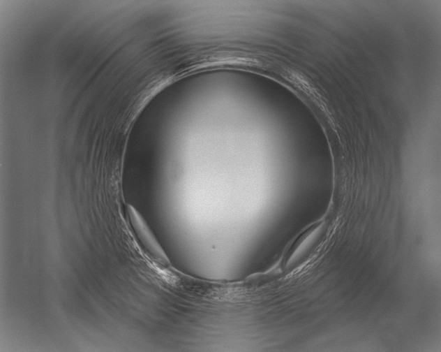 X0000051261377200507082206