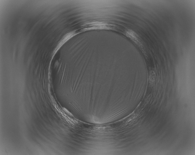 X0000051261378200507082206