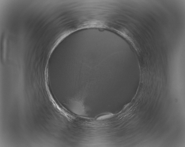 X0000051261383200507082206