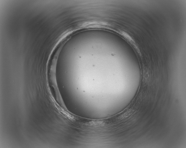 X0000051261384200507082206