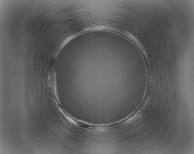 X0000051261385200507082205