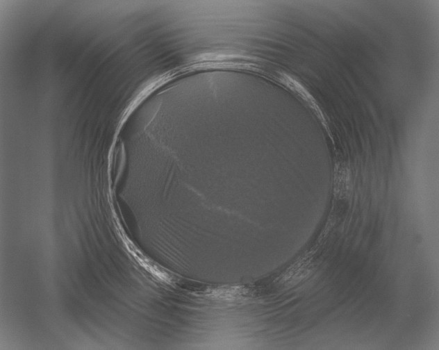 X0000051261386200507082205