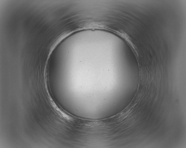 X0000051261387200507082205