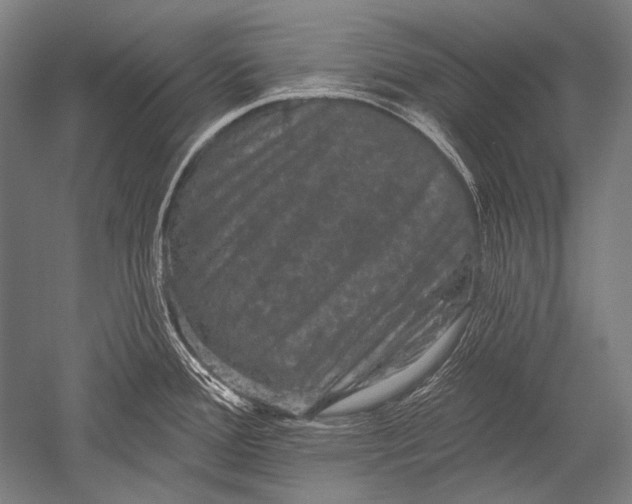 X0000051261388200507082205