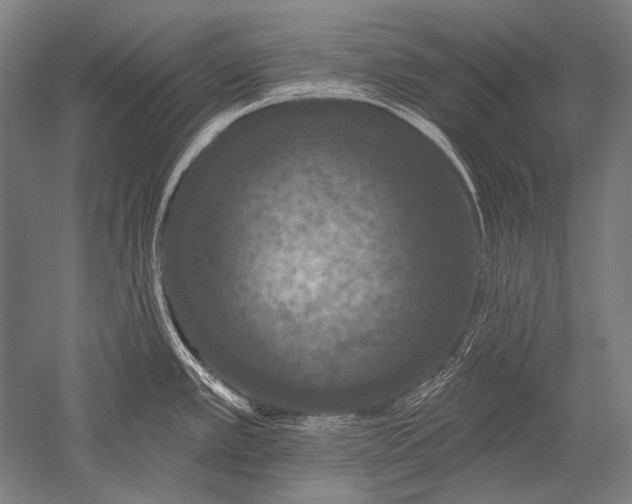 X0000051261389200507082205