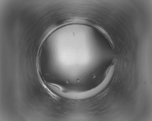 X0000051261391200507082205
