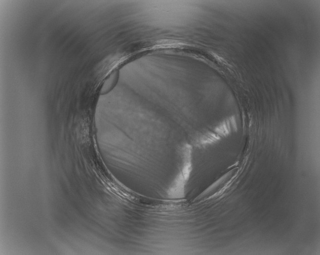 X0000051261401200507082205