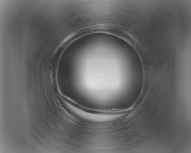 X0000051261402200507082205
