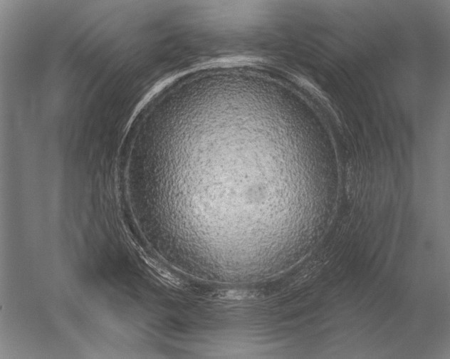 X0000051261412200507082205