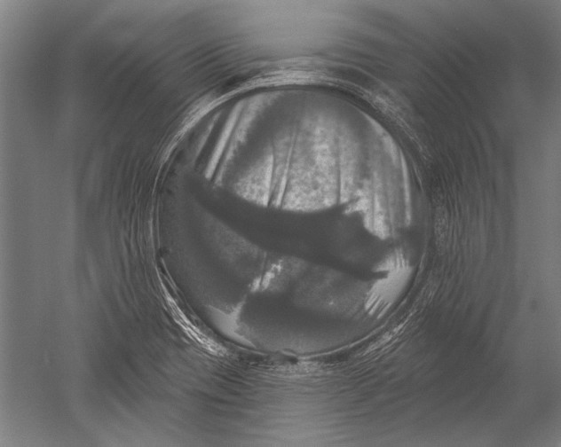 X0000051261417200507082205