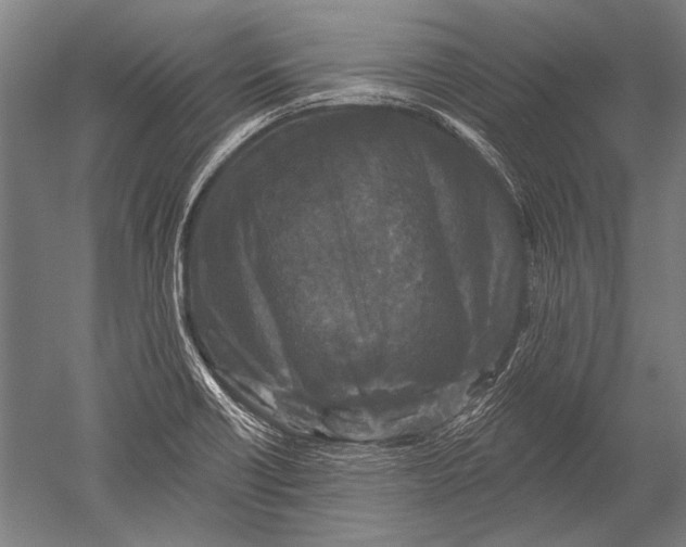 X0000051261418200507082205