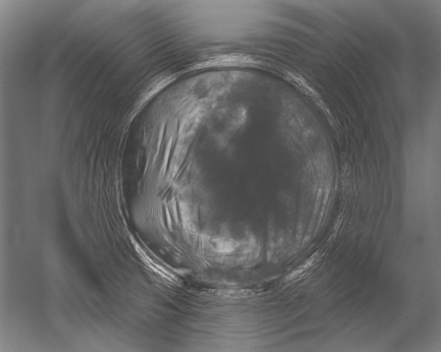 X0000051261425200507082205