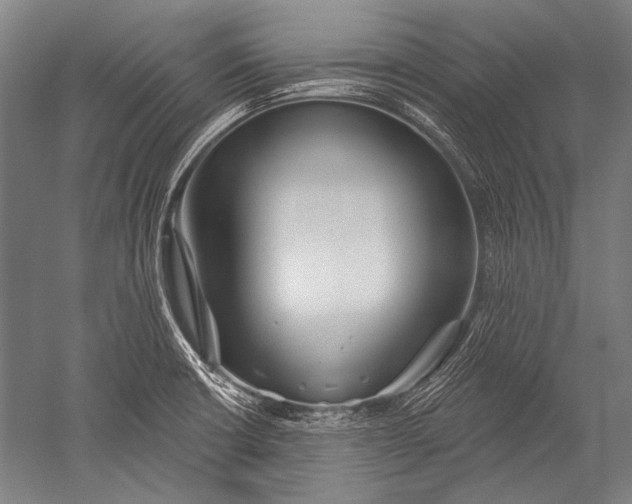 X0000051261426200507082205