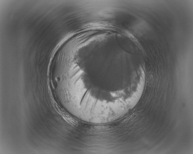 X0000051261427200507082205