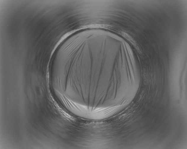 X0000051261428200507082205
