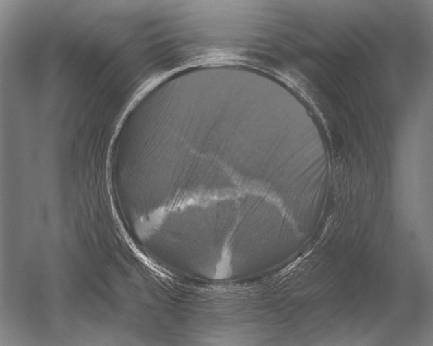 X0000051261429200507082205