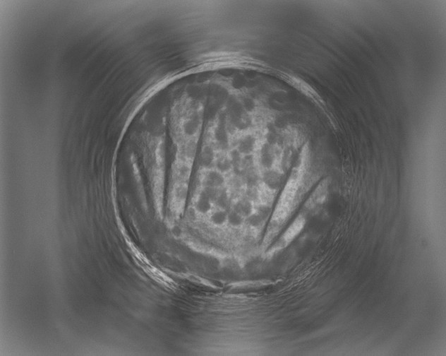 X0000051261431200507082205
