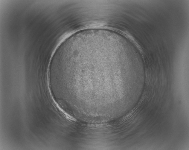X0000051261432200507082205