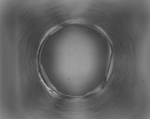 X0000051261434200507082205