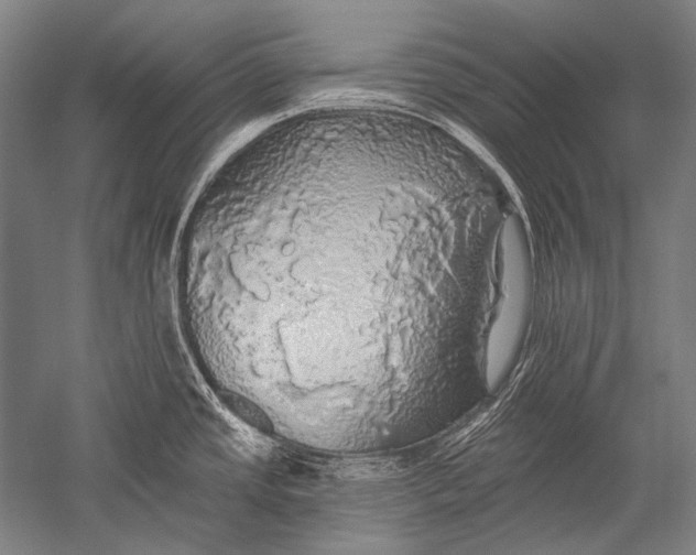 X0000051261437200507082205