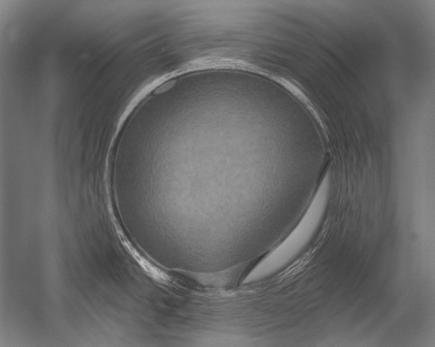 X0000051261438200507082205