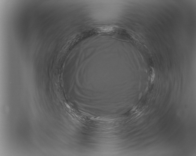 X0000051261441200507082205