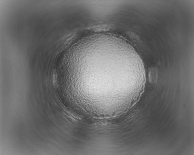 X0000051261444200507082204