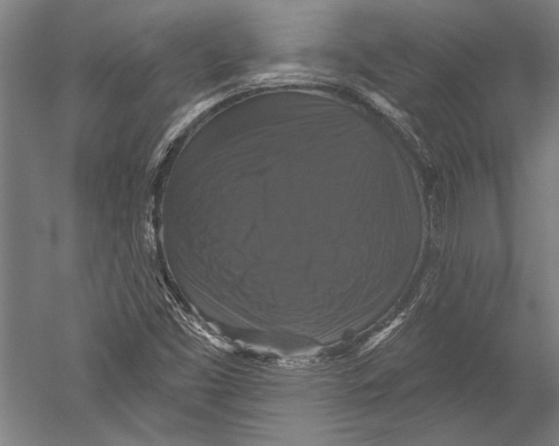 X0000051261453200507082204