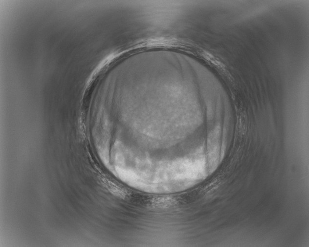 X0000051261454200507082204