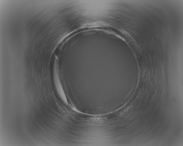 X0000051261457200507082204