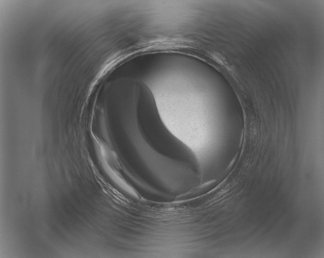 X0000051261459200507082204
