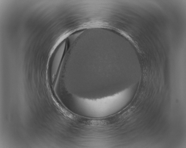 X0000051261469200507082204