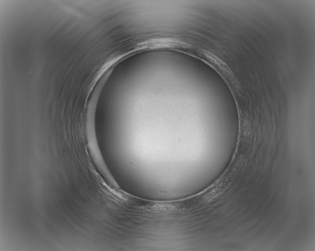X0000051261473200507082204