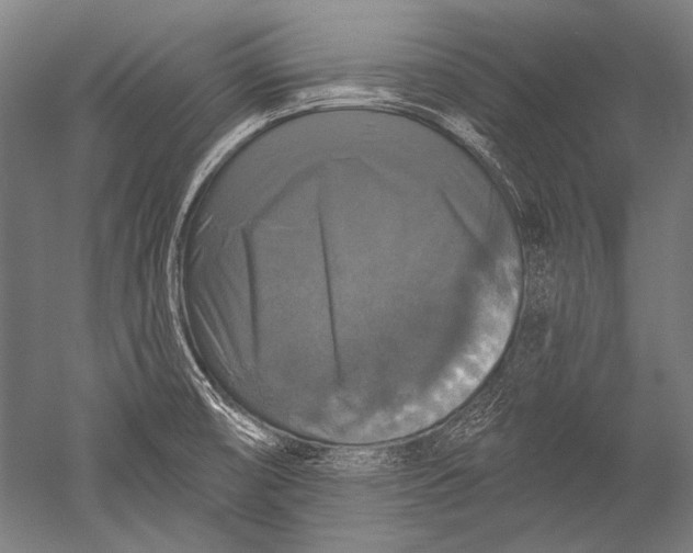 X0000051261474200507082204