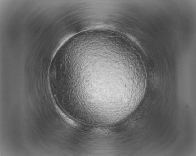 X0000051261476200507082204