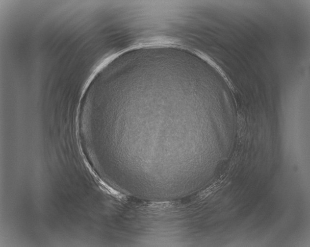 X0000051261477200507082204
