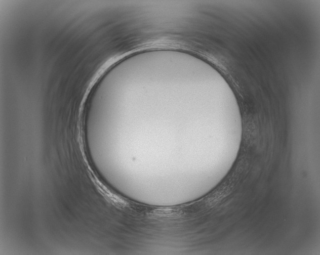 X0000051261478200507082204