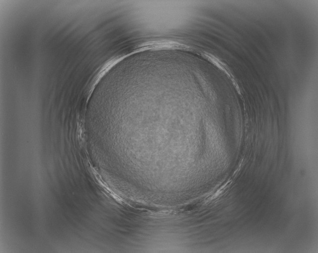X0000051261481200507082204