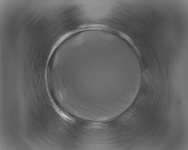 X0000051261482200507082204
