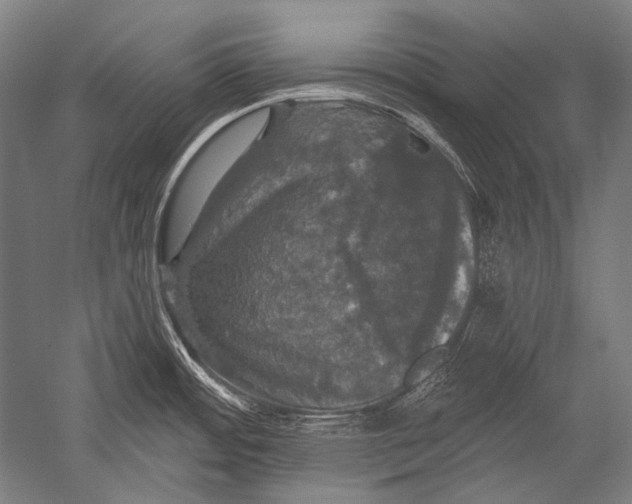 X0000051261484200507082204