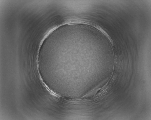 X0000051261485200507082204