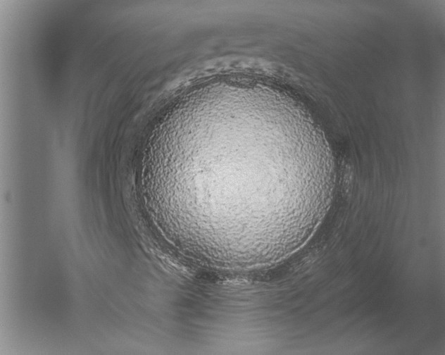 X0000051261489200507082203
