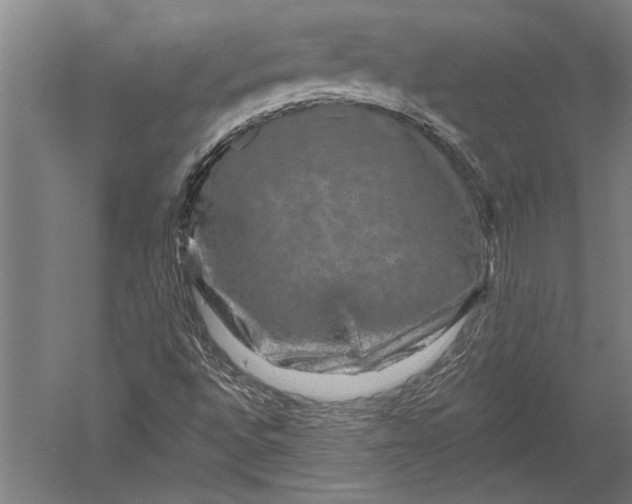 X0000051261496200507082203