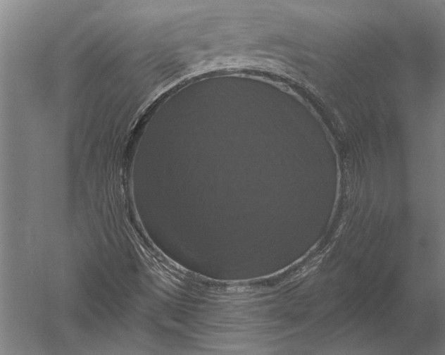X0000051261497200507082203