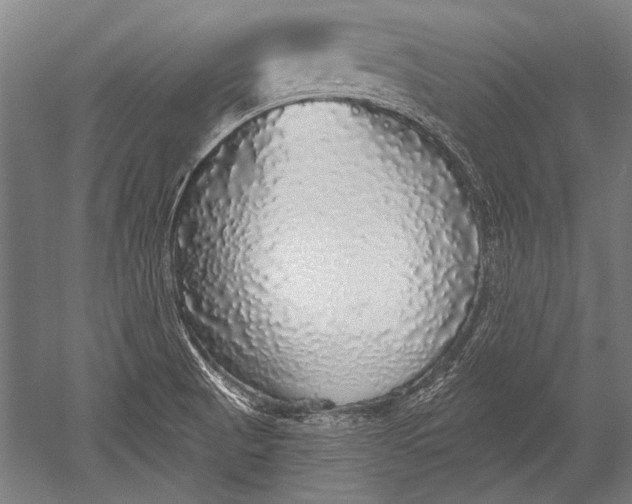 X0000051261521200507082203