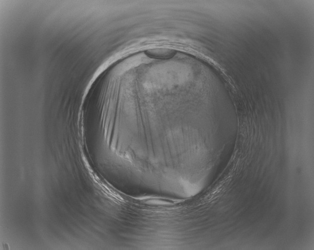 X0000051261522200507082203